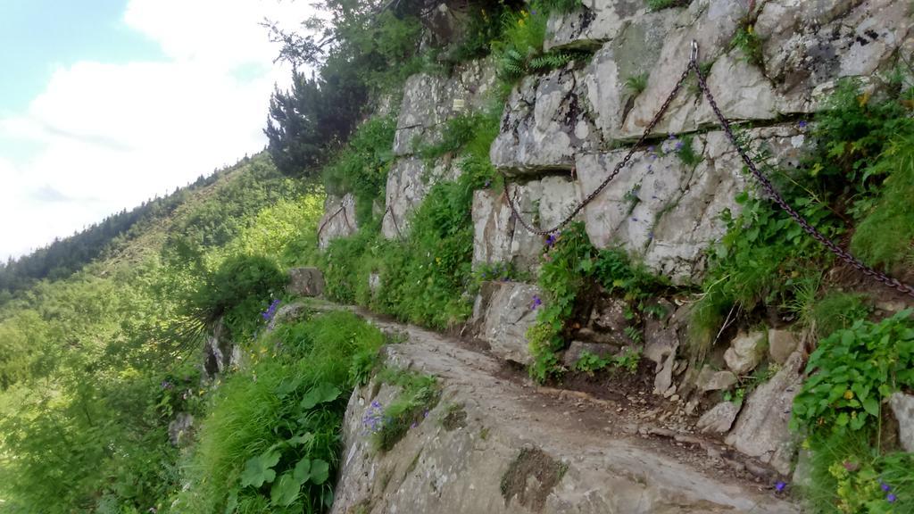 Agroturystyka Lesny Zakatek Stryszawa Bagian luar foto