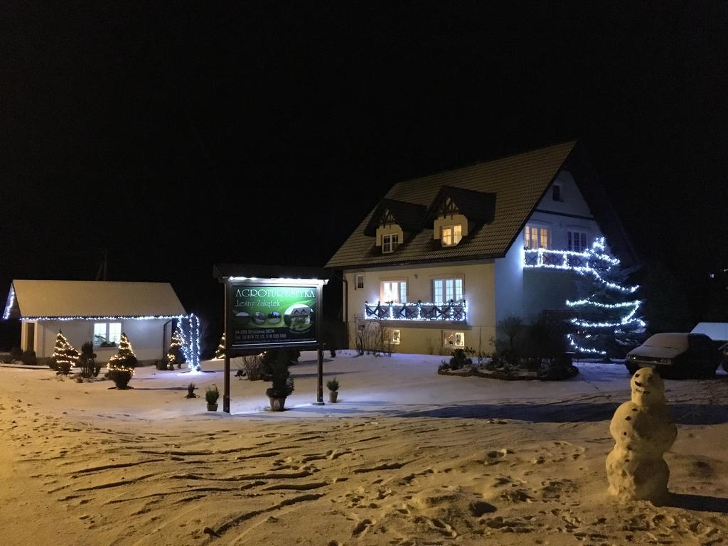 Agroturystyka Lesny Zakatek Stryszawa Bagian luar foto