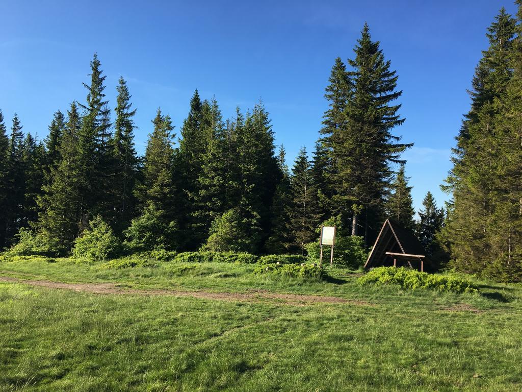 Agroturystyka Lesny Zakatek Stryszawa Bagian luar foto