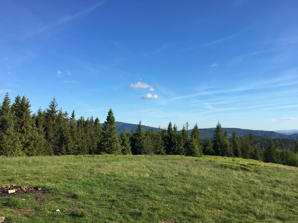 Agroturystyka Lesny Zakatek Stryszawa Bagian luar foto