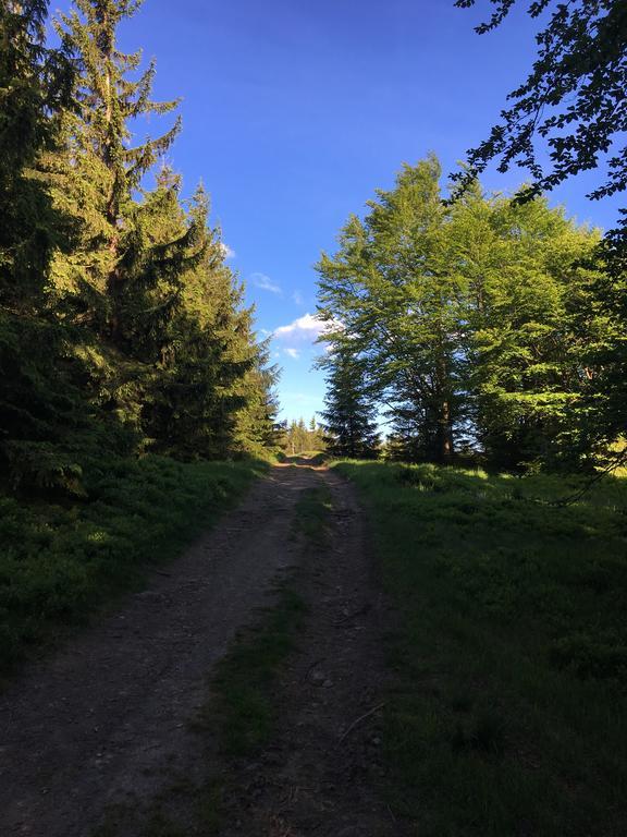 Agroturystyka Lesny Zakatek Stryszawa Bagian luar foto